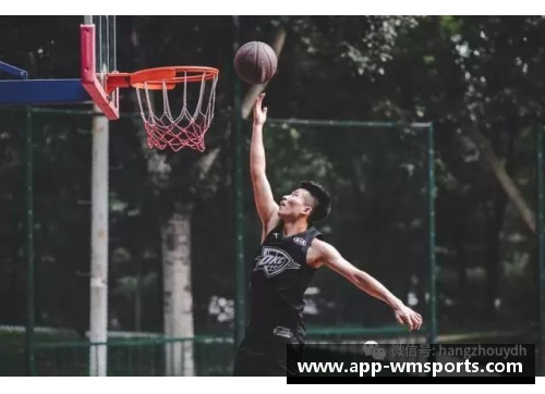 职业野球：挑战极限的球员风采