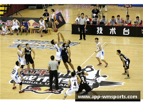 纽约NBA球队：城市传奇与篮球辉煌